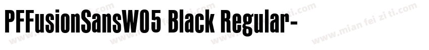 PFFusionSansW05 Black Regular字体转换
